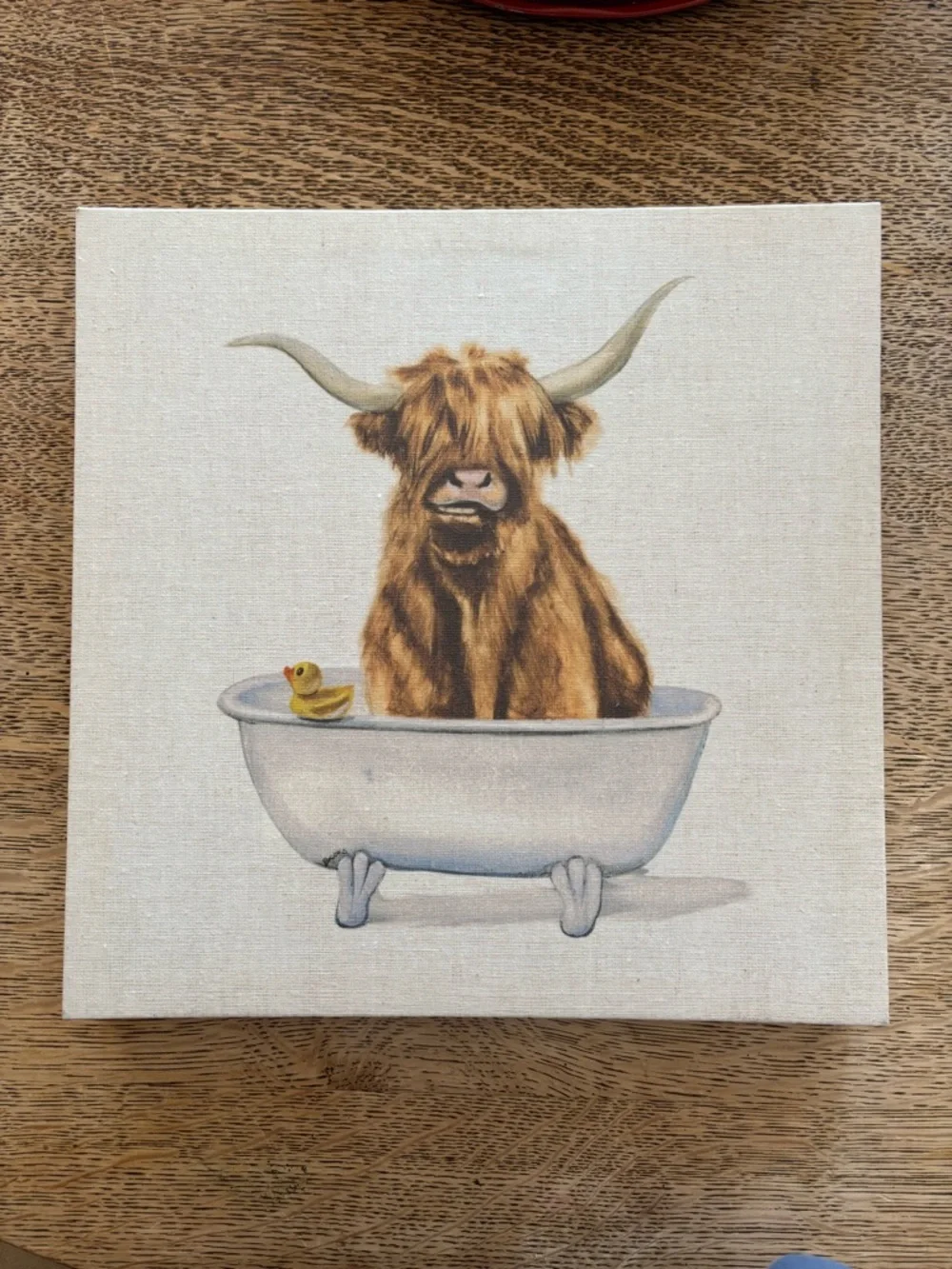 Yak in Bath 🐤